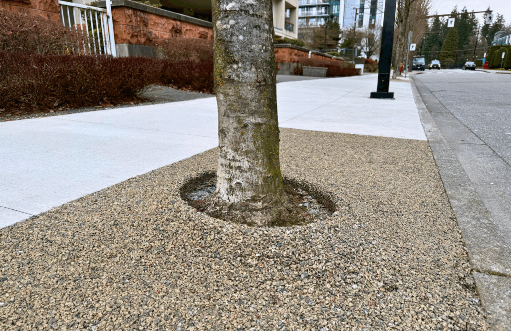A Smarter Urban Tree Surround Solution: ROMEX Permeable Bonded Gravel A Smarter Urban Tree Surround Solution: ROMEX Permeable Bonded Gravel
