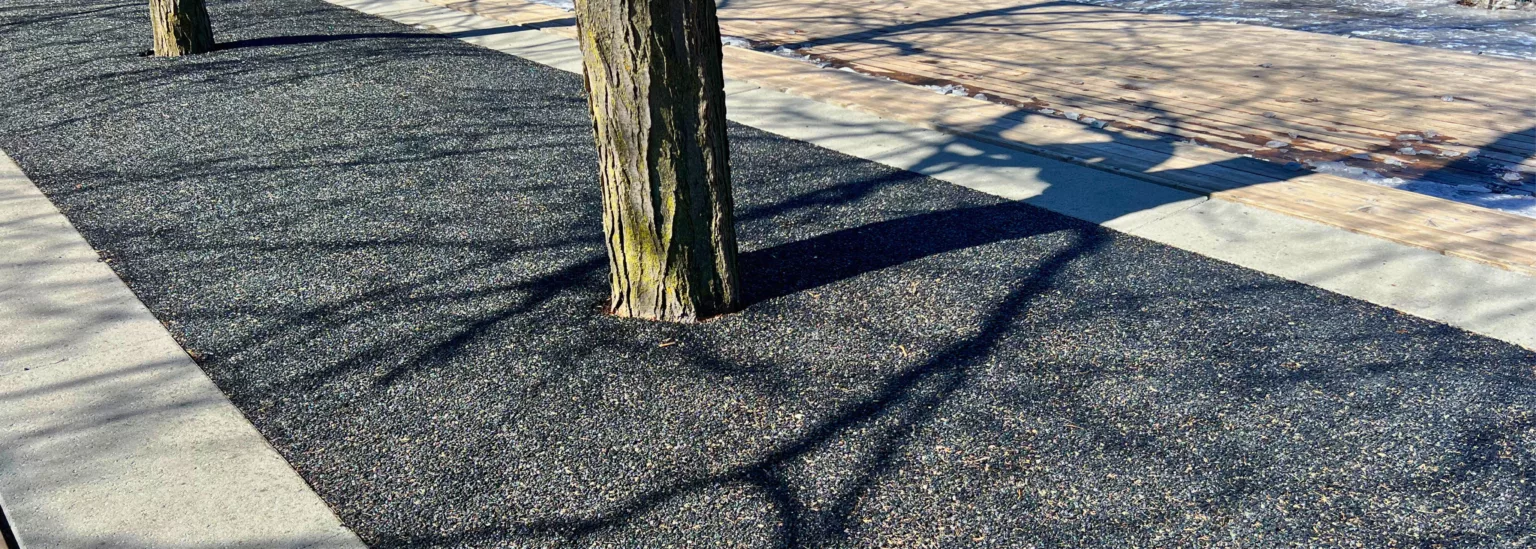 Tree Surrounds Case Study 2